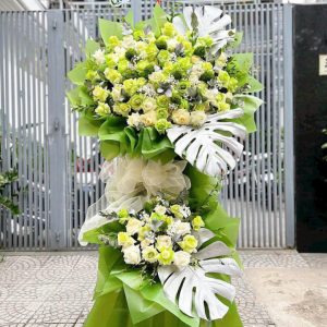 Kệ hoa khai trương