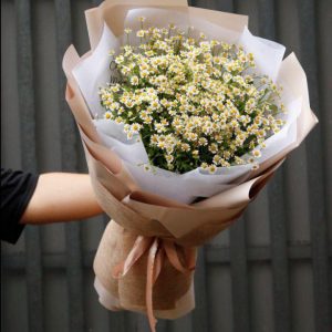 bó hoa cúc tana, bó hoa cúc tana đẹp