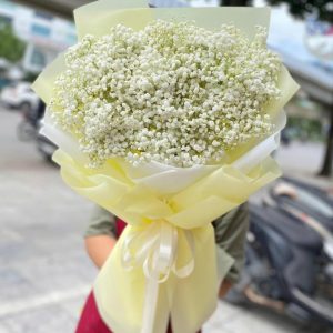 bó hoa baby, bó hoa baby đẹp