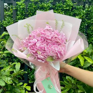 bó hoa đẹp, bó hoa cẩm tú cầu đẹp