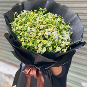 bó hoa cúc tana, bó hoa cúc tana đẹp