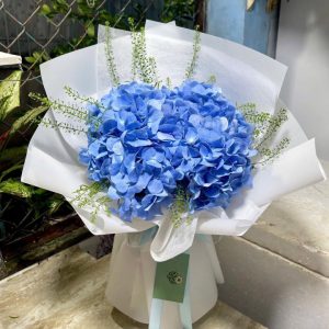 bó hoa đẹp, bó hoa cẩm tú cầu đẹp