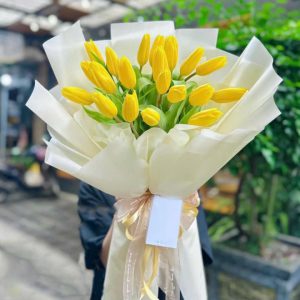 bó hoa tulip, bó hoa tulip đẹp