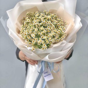bó hoa cúc tana, bó hoa cúc tana đẹp