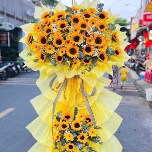 Kệ hoa khai trương