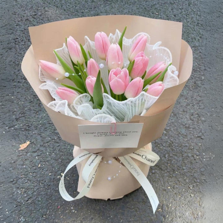 bó hoa tulip, bó hoa tulip đẹp
