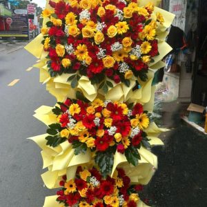 kệ hoa khai trương