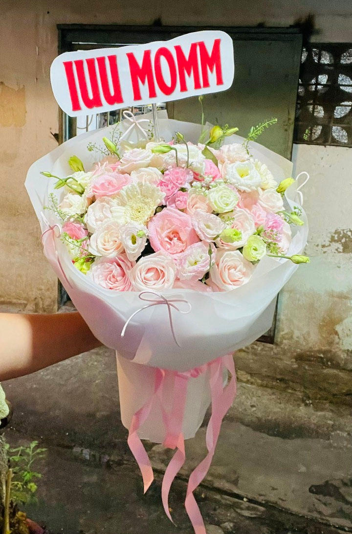 Bó Hoa Xin Lỗi