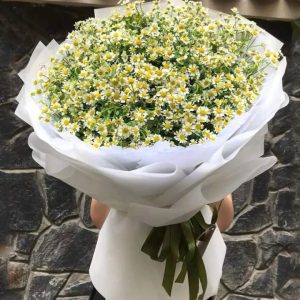 bó hoa cúc tana, bó hoa cúc tana đẹp