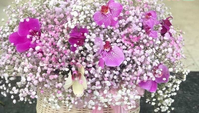 Giỏ hoa tươi đẹp mắt tại cửa hàng Hoa tươi Anh Thư quận Hải An, Hải Phòng