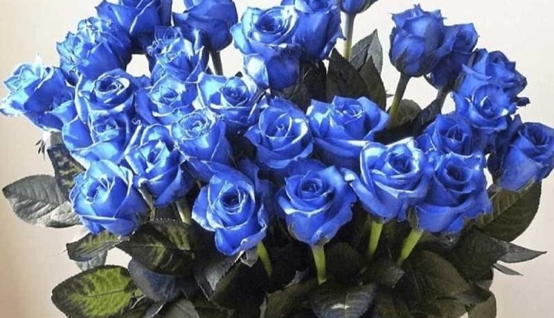 Bó hoa tươi đẹp mắt tại Shop hoa Ngọc Hân quận Hồng Bàng Hải Phòng