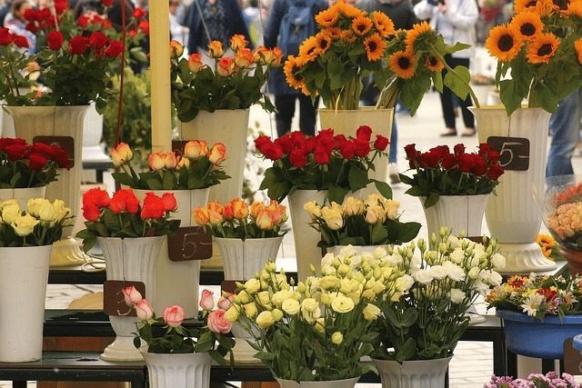 Không gian trưng bày bên trong Shop Hoa Tươi Đẹp tại quận Kiến An, Hải Phòng với đa dạng các loài hoa tươi sắc màu.
