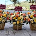 Top 7 Shop Hoa Tươi Quận 6 TPHCM Uy Tín Giao Nhanh 2h