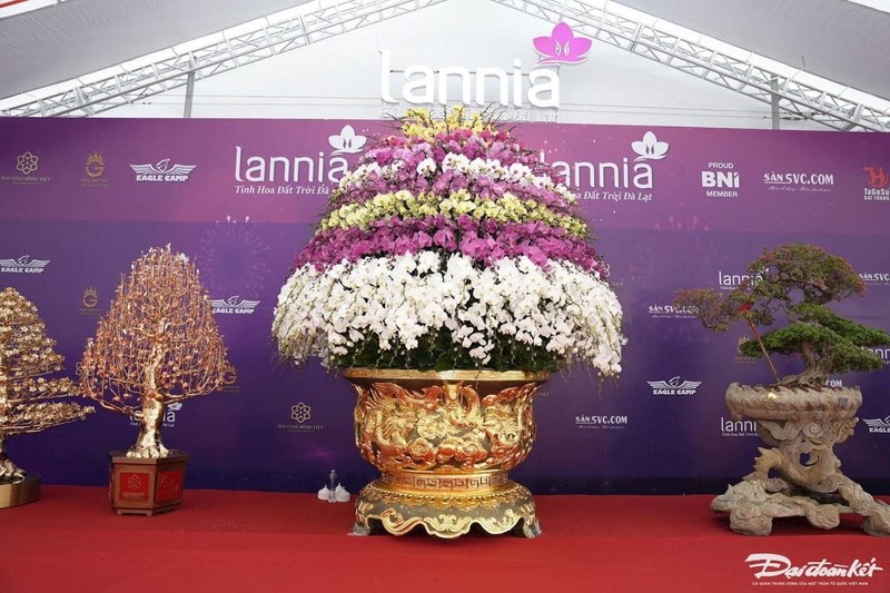 Không gian trưng bày hoa tươi và chậu lan cao cấp tại Lannia Flowers quận Cầu Giấy Hà Nội