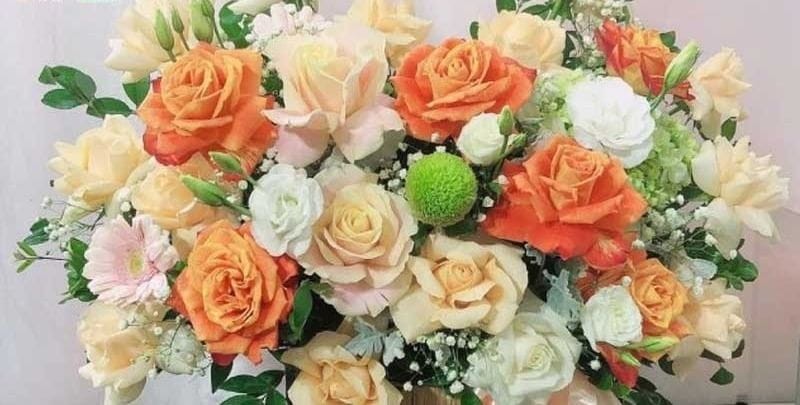  Mẫu lẵng hoa tươi phối màu sang trọng tại tiệm hoa tươi Hải Âu quận Đồ Sơn Hải Phòng