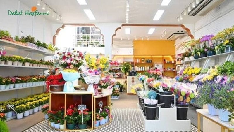 Không gian cửa hàng Dalat Hasfarm tại phố Xã Đàn cung cấp hoa tươi chất lượng cao tại quận Đống Đa, Hà Nội.