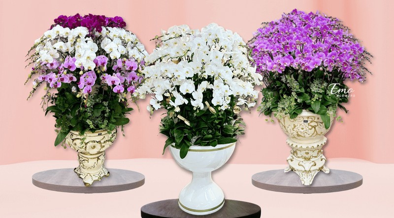 Hình ảnh thực tế Shop Hoa Tươi quận Đống Đa, Hà Nội của Tiệm Hoa Emo Flowers