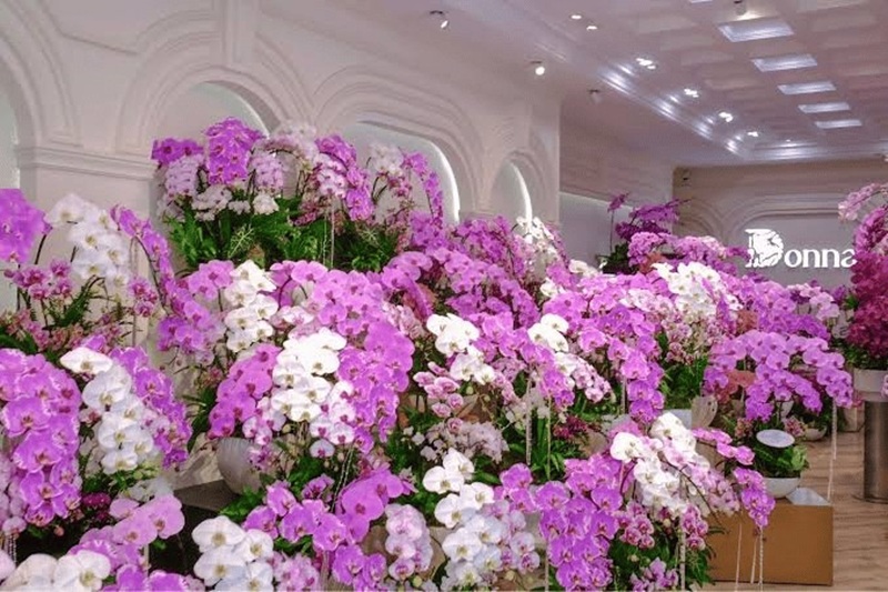 Mẫu hoa tươi phong cách châu Âu tại shop hoa tươi Jardin de Donna 36 Tây Sơn Đống Đa Hà Nội
