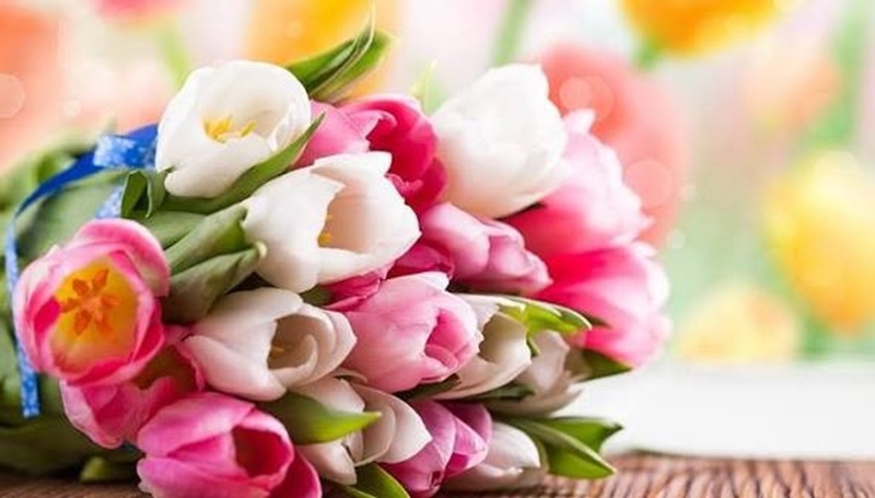 Mẫu hoa tươi đẹp chất lượng tại hệ thống điện hoa trực tuyến RoyFlower quận Đống Đa Hà Nội