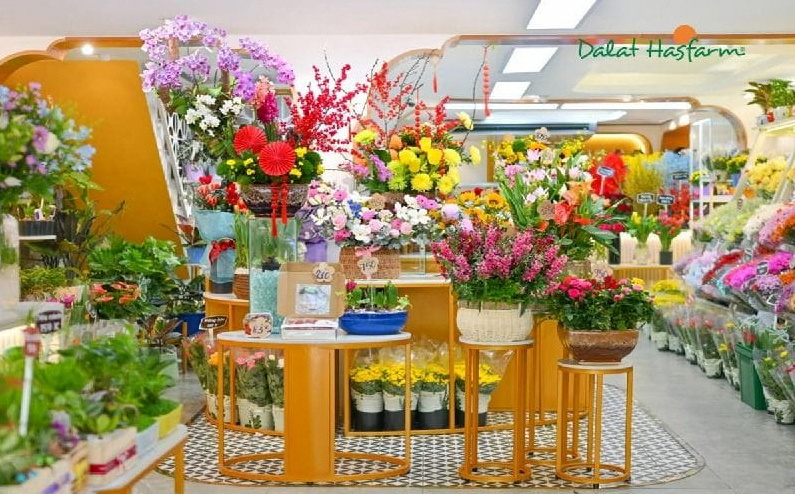 Các mẫu hoa tươi có tại Dalat Hasfarm.