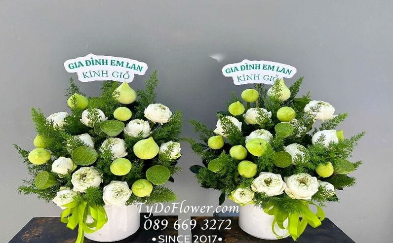 Mẫu sen đặc biệt tại Tydo Flower
