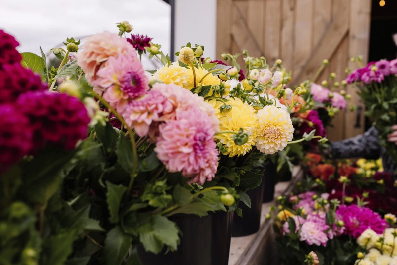 Hình ảnh thực tế Shop Hoa Tươi quận Hai Bà Trưng, Hà Nội của Dahlia and Flowers