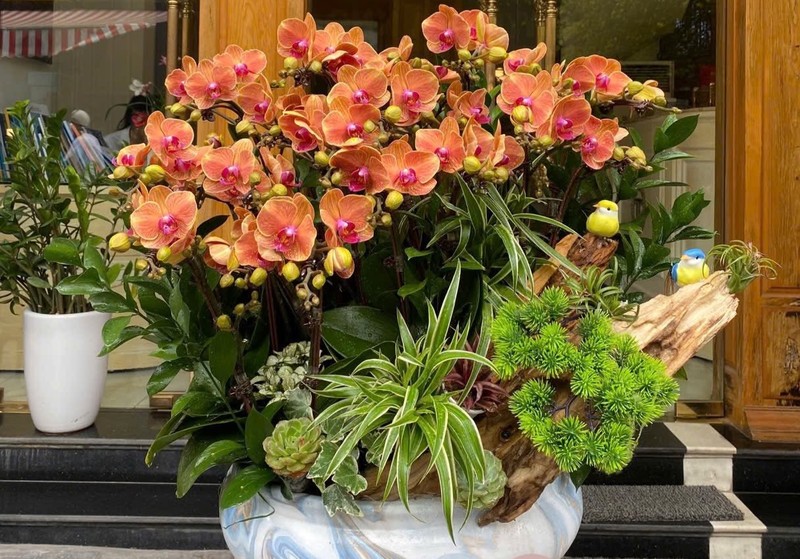 Chậu hoa tươi của KimAnh Flowershop