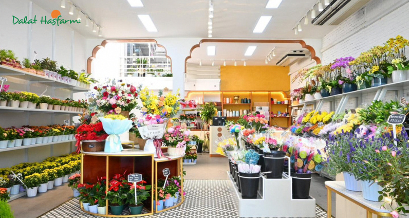 Không gian bên trong cửa hàng shop hoa tươi Dalat Hasfarm tại Sài Gòn TP.HCM với ngập tràn các loại hoa tươi đẹp