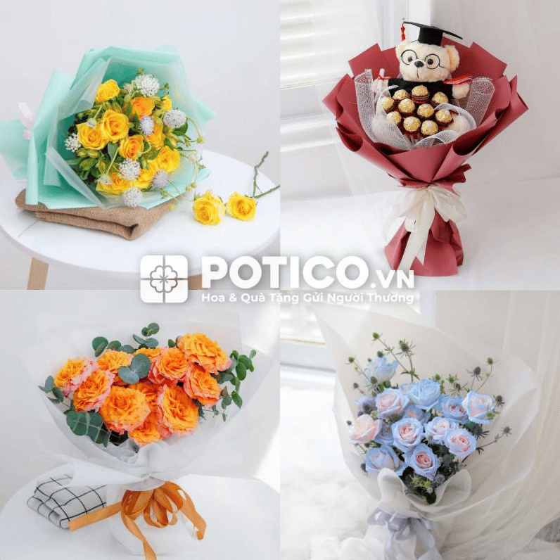 Hình ảnh Potico