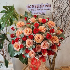 giỏ hoa khai trương, hoa khai trương đẹp