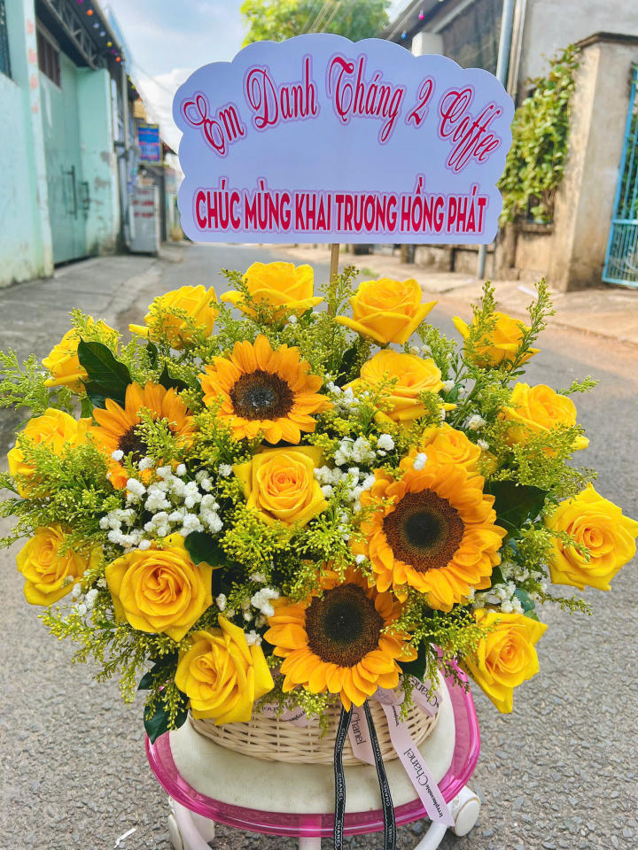giỏ hoa khai trương, hoa khai trương đẹp