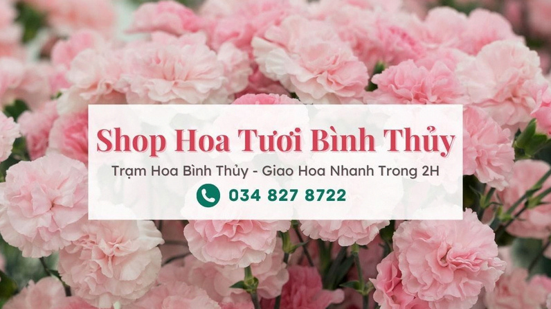 Mẫu hoa tươi đẹp chất lượng tại shop hoa tươi Bình Thủy Cần Thơ của Trạm Hoa