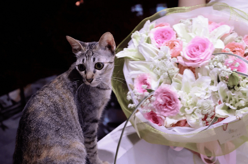 Không gian trưng bày bên trong LyLy Flowers Shop - cửa hàng hoa tươi uy tín tại quận Cẩm Lệ, Đà Nẵng