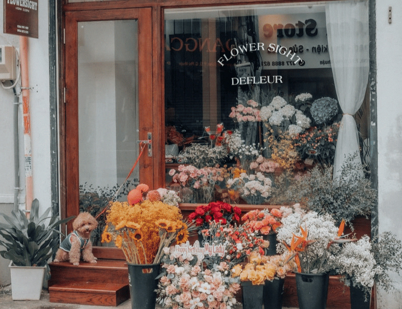 Shop hoa tươi FLowerSight.