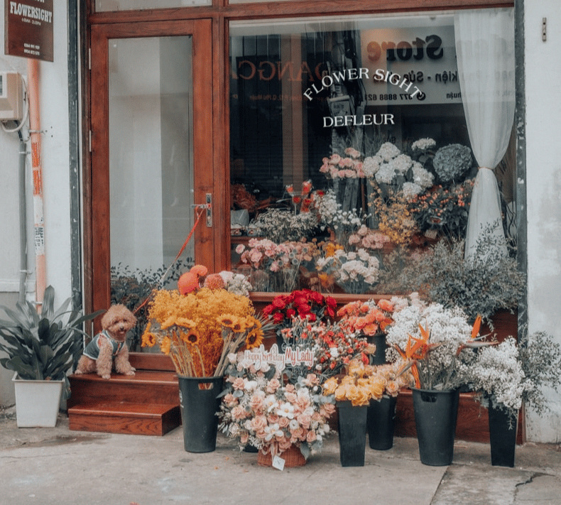 Hình ảnh shop hoa FlowerSight.