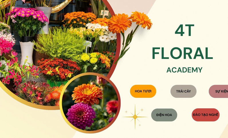 Shop hoa tươi 4T Floral cung cấp đa dạng dịch vụ điện hoa và lan hồ điệp chất lượng tại Tân Phú TPHCM