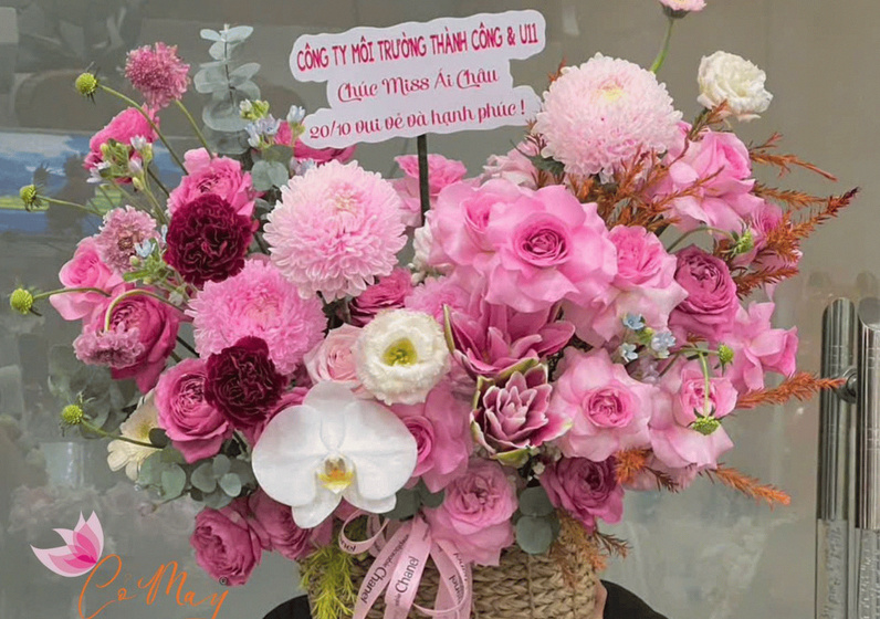 Mẫu hoa tươi từ shop hoa Cỏ May.